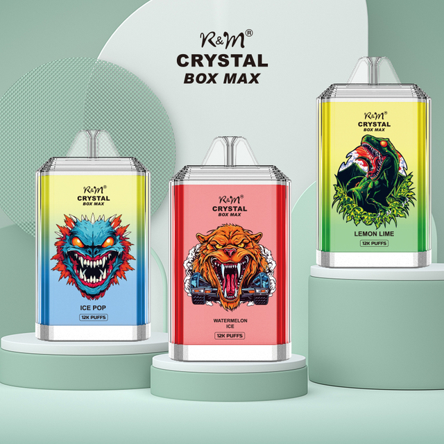 15 Best Flavors 2% Salt Nicotine UK Europ Popular Mesh Coil Rechargeable 12000Puffs Disposable Vape Wholesale Factory Price