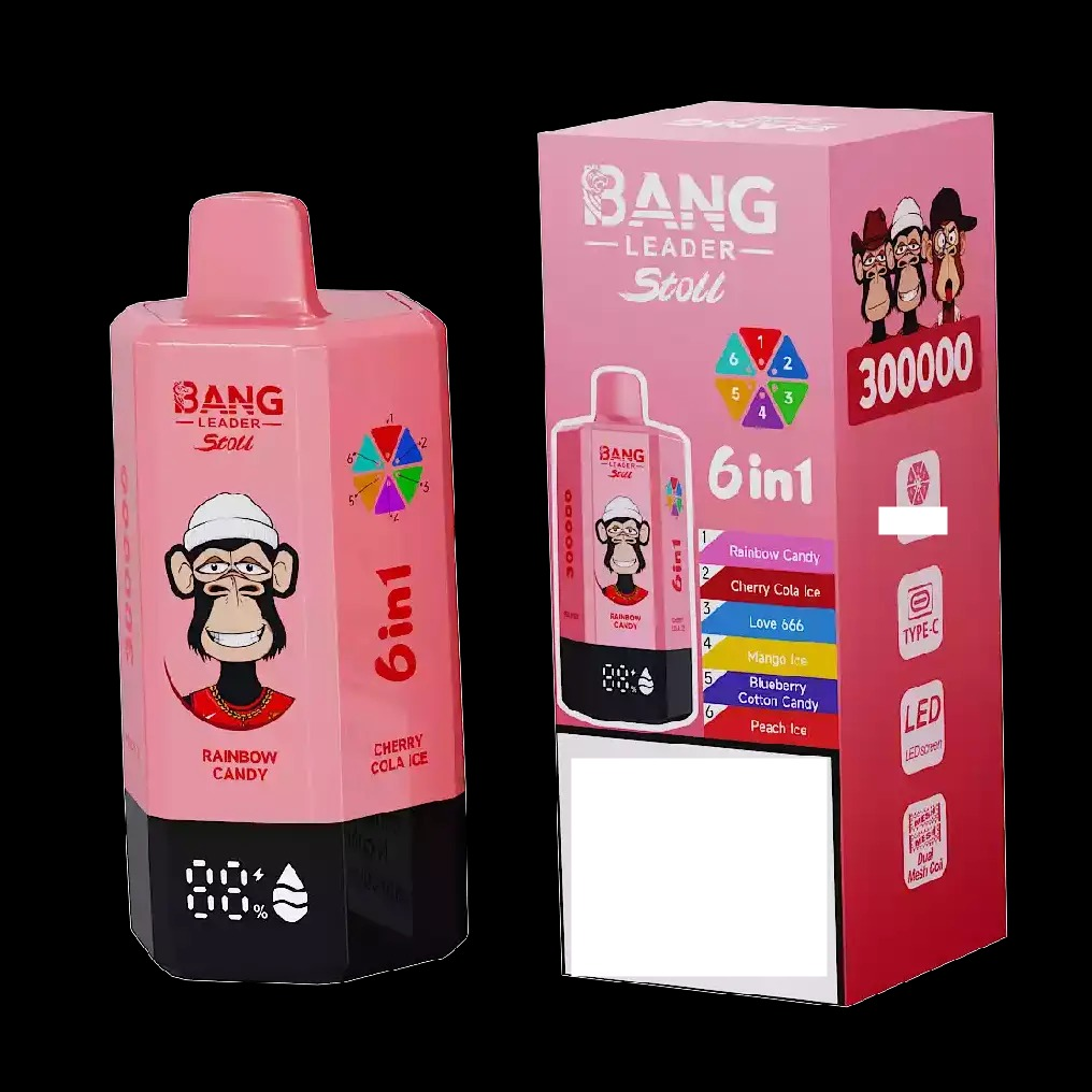 BANG LEADER STOLL 300K 300000 Puffs Rechargeable 6 in 1 Taste Disposable Vape Wholesale Bulk Buy Dual Mesh