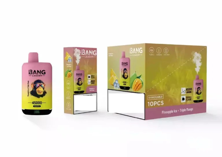 BANG LEADER 45000 Puffs Dual Tastes premium vape products long lasting disposable vape best disposable vape 2026 Bulk Buy Rechargeable Disposable Vapes Wholesale