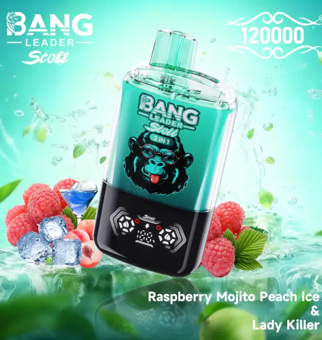 Bang Leader Stoll 120000 Puffs Dual Flavor Disposable Vape