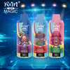 Factory Price RandM Magic 16000Puffs OEM Custom Brand Electronic Cigarette Smoke Puffs Geek Bar Pulse Crown Bar Disposable Vape