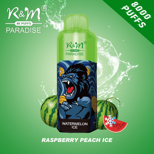 R&M Paradise 8000 puffs OEM Logo randm vape with RGB light