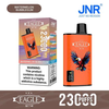 JNR Eagle 23000 Puffs portable vape for travel mint flavored vape pen best disposable vape 2026 premium vape products Bulk Buy Rechargeable Disposable Vapes Wholesale