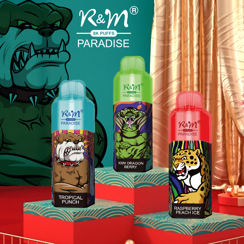 Hot Sale Model Mesh Coil RGB Flash Light Type C Rechargeable 8K R&M Paradise R and M Disposable Vape