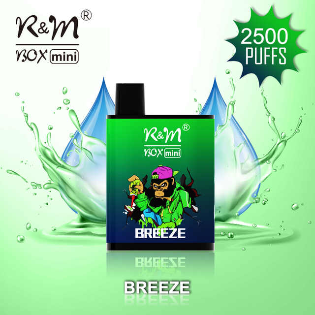 R&M BOX MINI 2500 Puff Good Tastes Vape|Vape Manufacturer