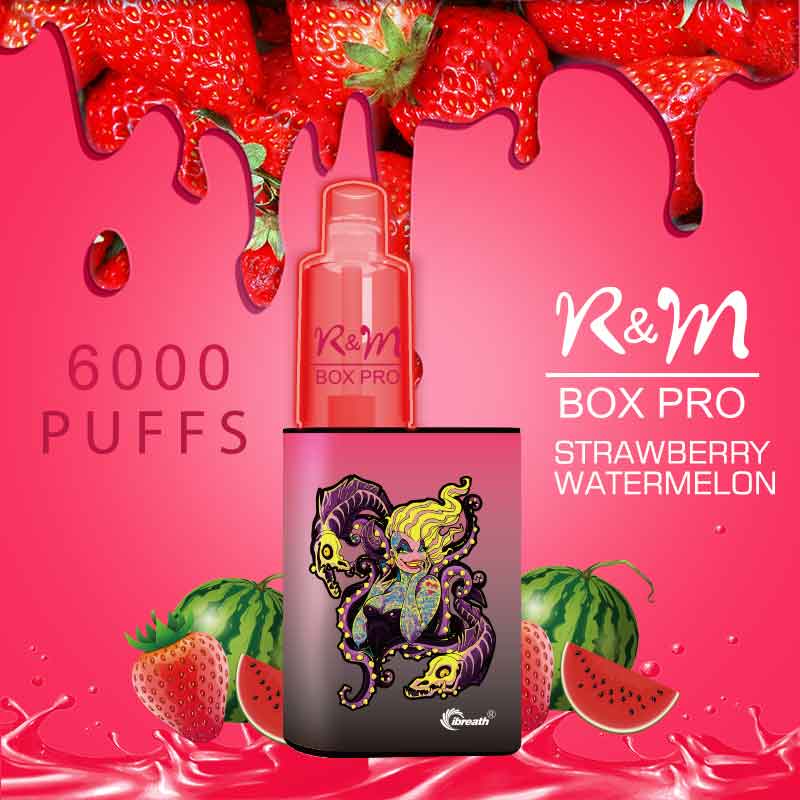 R&M BOX PRO Germany 2% OEM LOGO Rechargble Disposable Vape