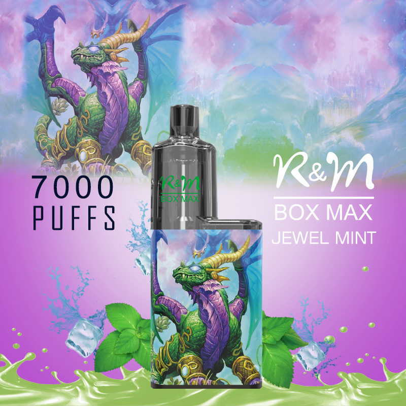 R&M BOX MAX 7000 Puffs Vape Manufacturer