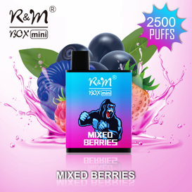R&M BOX MINI America Best Seller OEM LOGO Disposable Vape