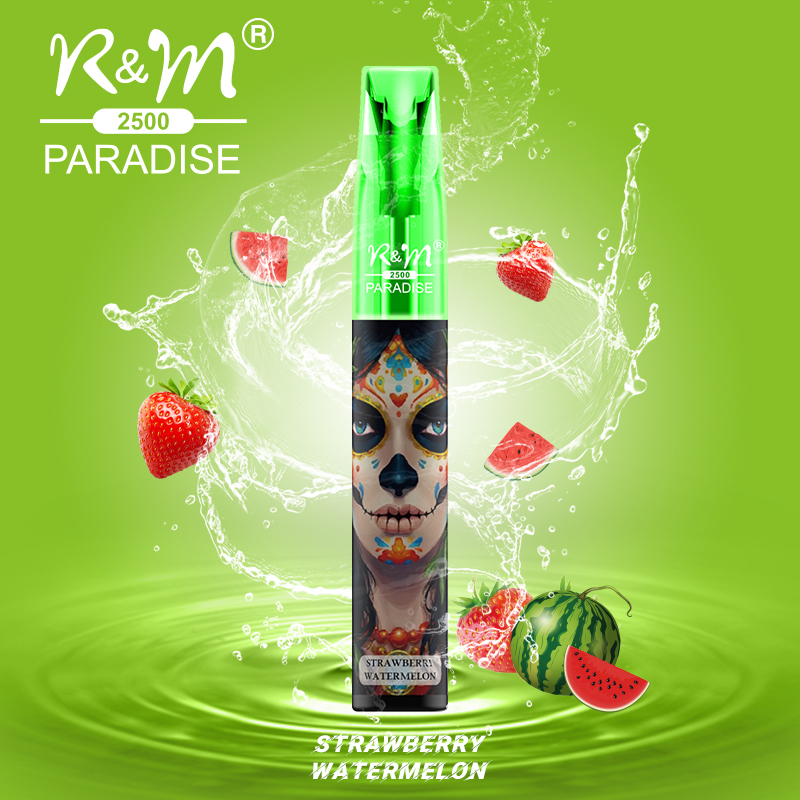 R&M PARADISE MINI China Original OEM LOGO Mesh Coil Disposable Vape