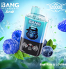 Bang Leader Stoll 120000 Puffs Dual Flavor Disposable Vape