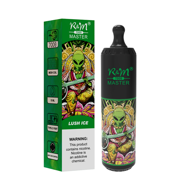 Limited Design OEM Custom 2% 5% Salt Nicotine Type C Rechargeable Mesh Coil 7K Puffs R&M Master Disposable Vape Pen 