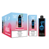 Germany Holland Hot Sale New Big Display Screen 40000Puffs Watermelon Ice Disposable Vape RandM Tornado 7000Puffs R&M Legend Delivery