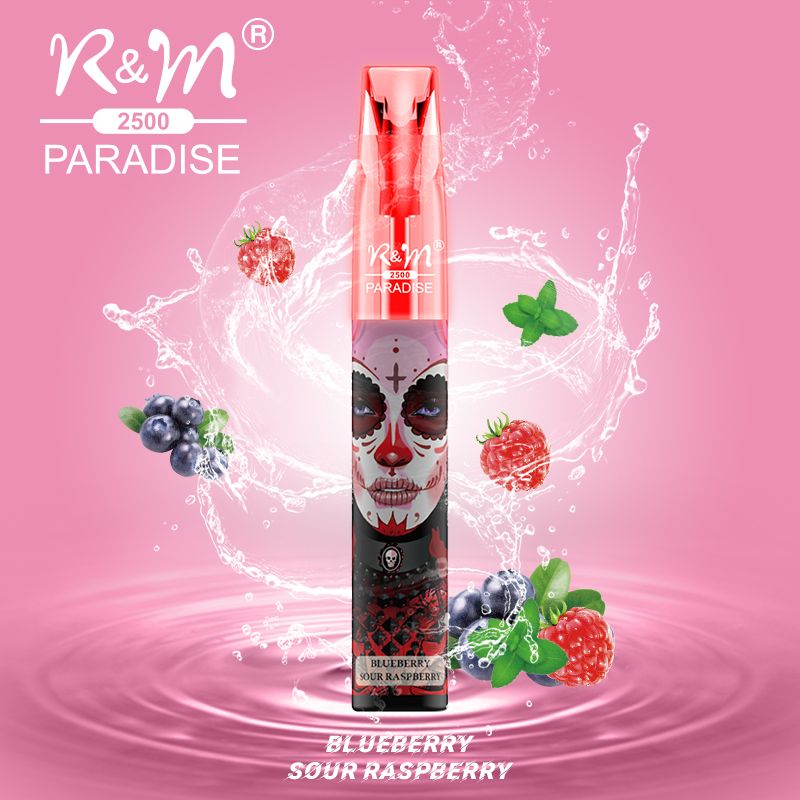 R&M PARADISE Canada Best Selling Mesh Coil Disposable Vape|Wholesale Vape Pen