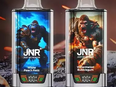 Premium Fruit Flavors JNR RageGorilla 55000 Rechargeable Disposable Vape Vapor Pen with Mesh Coil Wholesale 