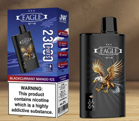 JNR Eagle 23000 Puffs portable vape for travel mint flavored vape pen best disposable vape 2026 premium vape products Bulk Buy Rechargeable Disposable Vapes Wholesale