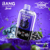 Bang Leader Stoll 120000 Puffs Dual Flavor Disposable Vape