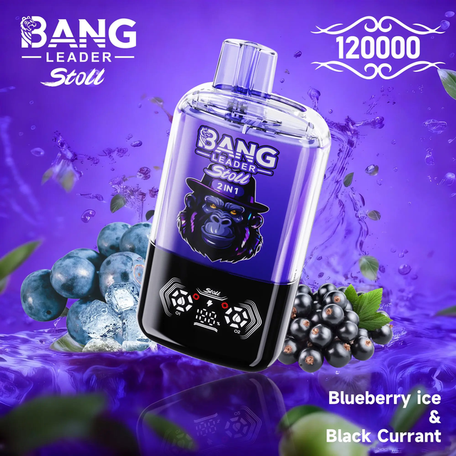 Bang Leader Stoll 120000 Puffs Dual Flavor Disposable Vape