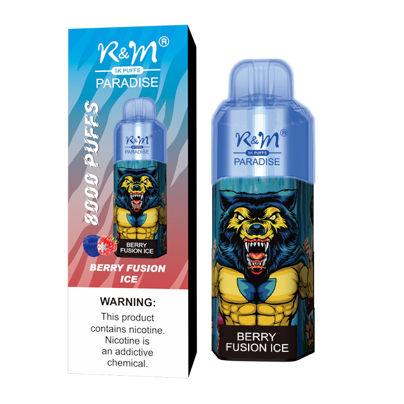 Hot Sale Model Mesh Coil RGB Flash Light Type C Rechargeable 8K R&M Paradise R and M Disposable Vape