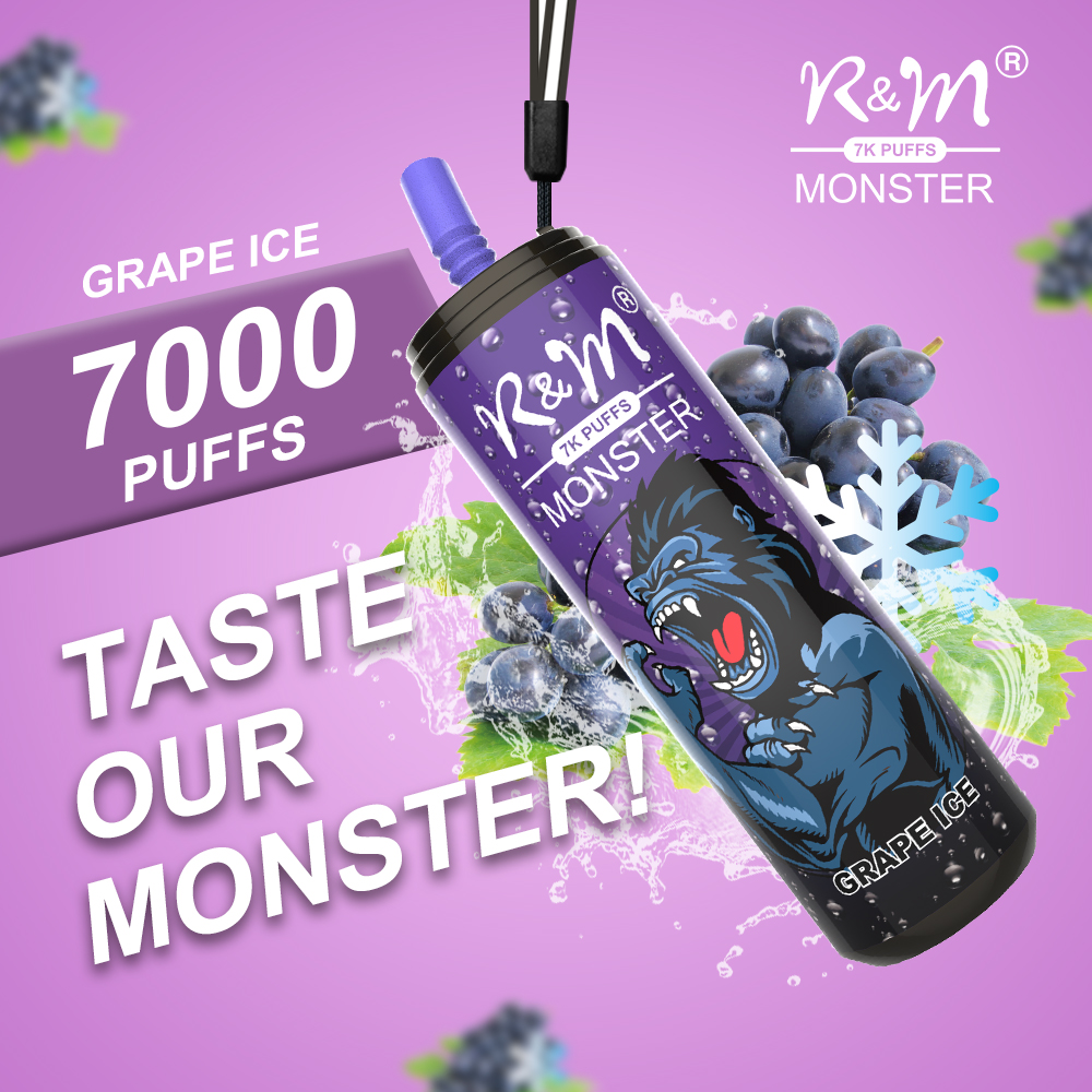 R&M MONSTER Germany Adjustable Airfow Customize Brand Disposable Vape