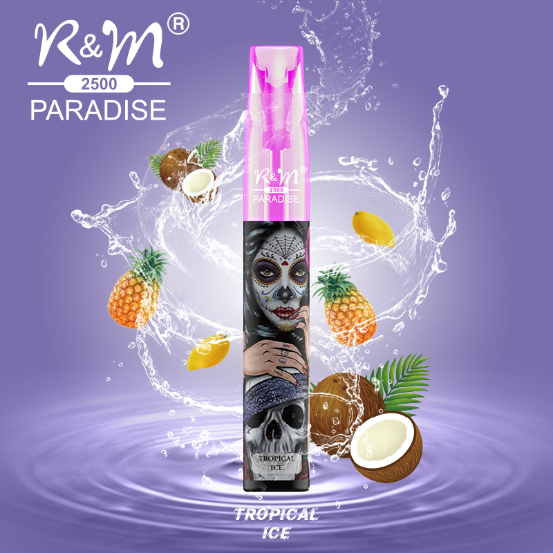 R&M PARADISE MINI Europe 2% Salt Nicotine 2500 Puffs Customize Brand Disposable Vape