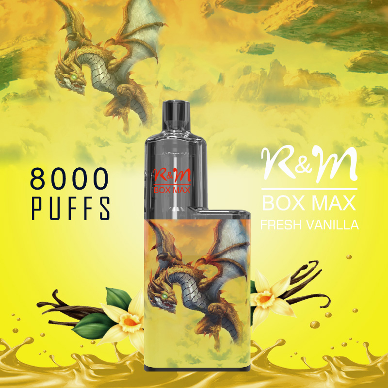 R&M BOX MAX Germany Mesh Coil OEM Brand Salt Nicotine Disposable Vape