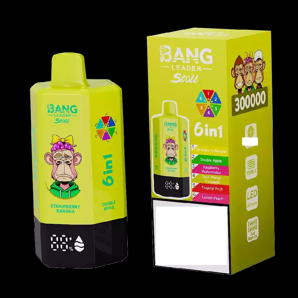 BANG LEADER STOLL 300K 300000 Puffs Rechargeable 6 in 1 Taste Disposable Vape Wholesale Bulk Buy Dual Mesh