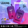 Bang Leader 80000 Puffs Triple-Flavor Disposable Vape – Type-C Rechargeable