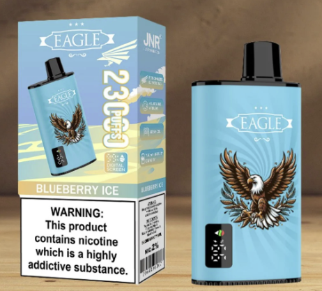 JNR Eagle 23000 Puffs portable vape for travel mint flavored vape pen best disposable vape 2026 premium vape products Bulk Buy Rechargeable Disposable Vapes Wholesale
