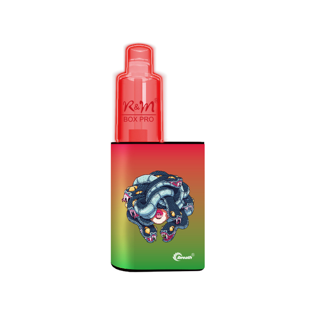 R&M BOX PRO Fruit Flavor Ruissa Disposable Vape