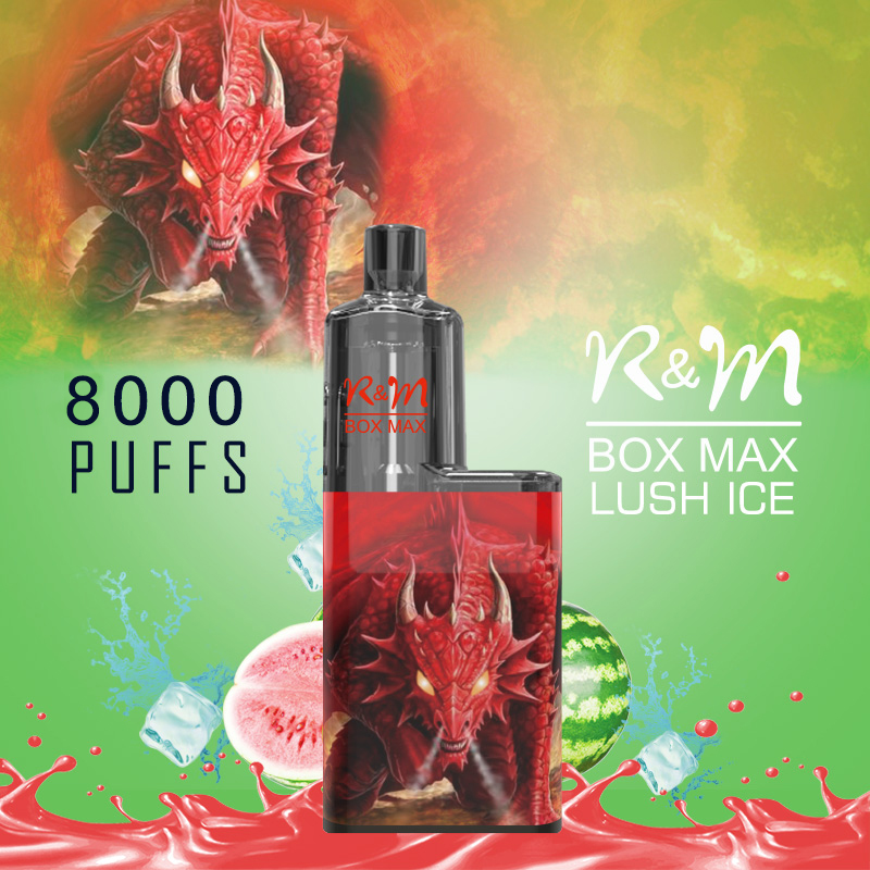 R&M BOX MAX China OEM LOGO Rechargble RGB Light Disposable Vape