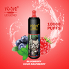 Randm Legend 10000 puffs Europe Customize Brand Flavor Disposable Vape