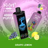Germany Warehouse 40000Puffs RGB Light RandM R&M Legend Disposable Vape Vozol Alfakher Wholesale Delivery