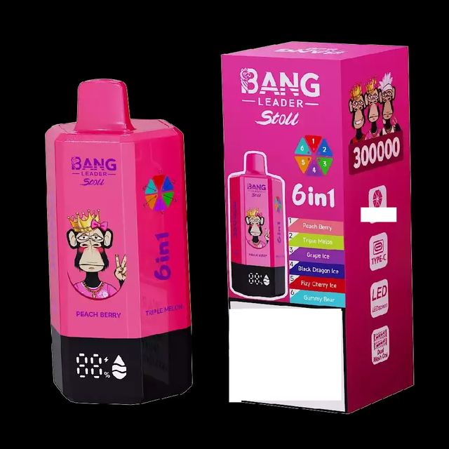 BANG LEADER STOLL 300K 300000 Puffs Rechargeable 6 in 1 Taste Disposable Vape Wholesale Bulk Buy Dual Mesh