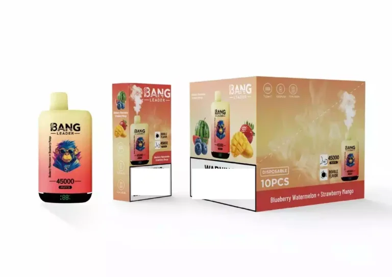 BANG LEADER 45000 Puffs Dual Tastes premium vape products long lasting disposable vape best disposable vape 2026 Bulk Buy Rechargeable Disposable Vapes Wholesale