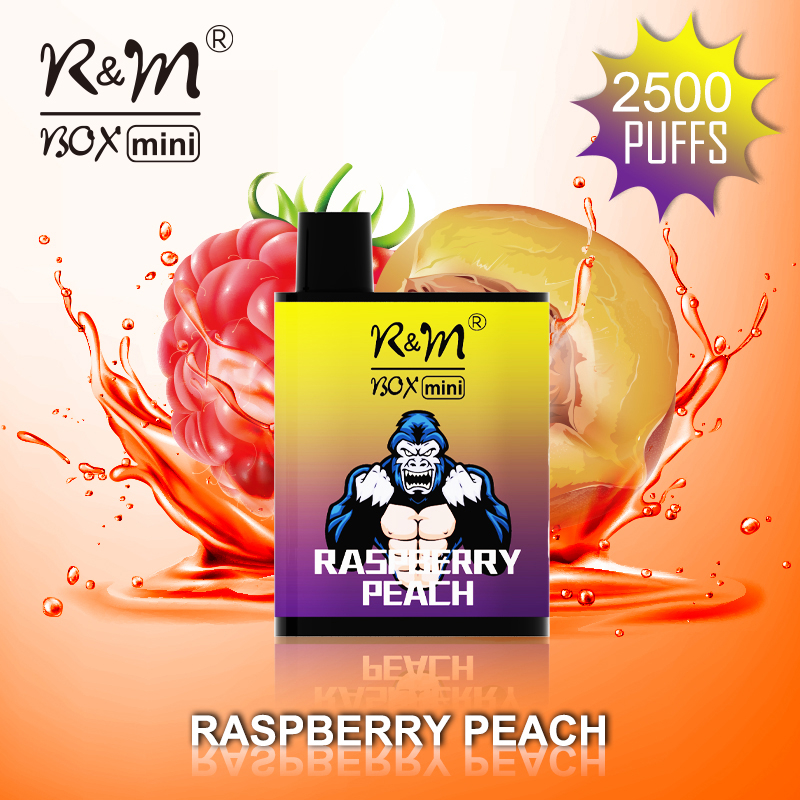 R&M BOX MINI China Original Customize Brand Disposable Vape|Wholesale Vape Pen